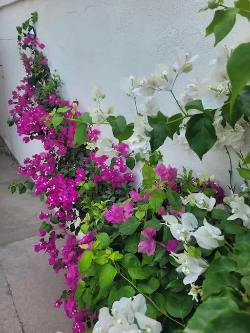 Cesme Center Villa With Pool Leylacanhouse