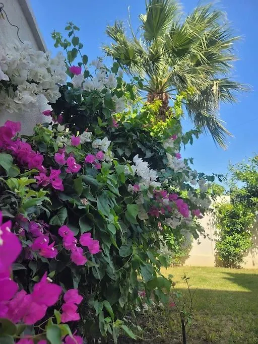 Cesme Center Villa With Pool Leylacanhouse Turkey
